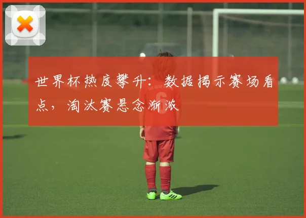 世界杯热度攀升:数据揭示赛场看点,淘汰赛悬念渐浓